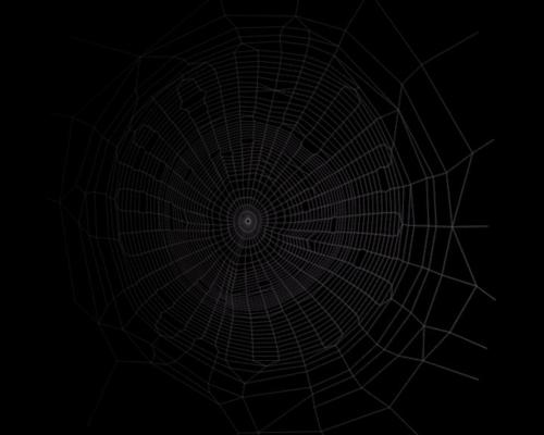 zeauro nature spiderweb preview image